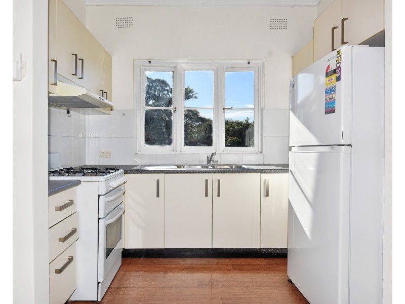 8 FEDERAL AVENUE, Ashfield NSW 2131