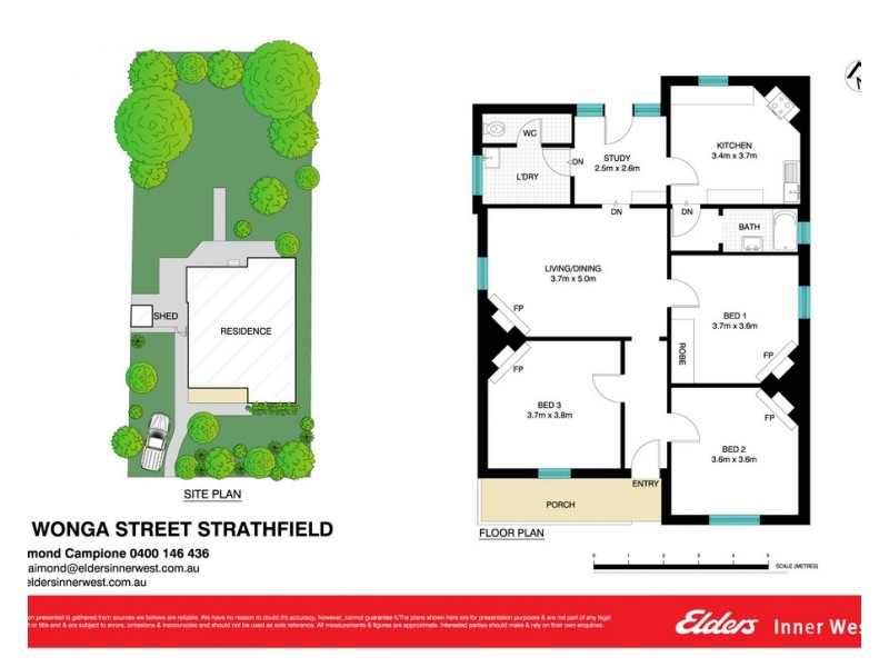 11 Wonga Street, Strathfield NSW 2135 Floorplan