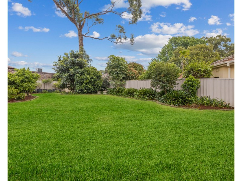 19 Hardy Street, Ashfield NSW 2131