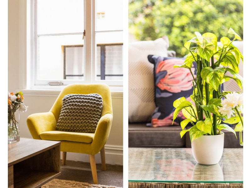 19 Hardy Street, Ashfield NSW 2131