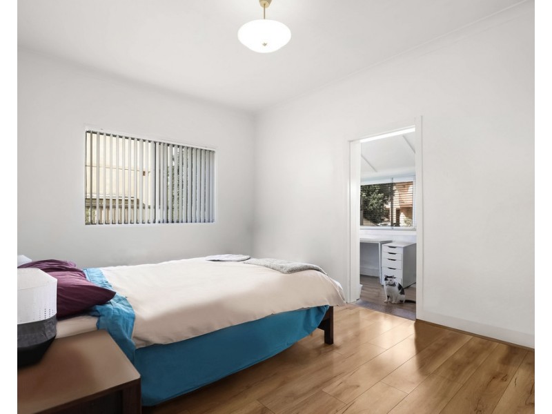 3 Jones Street, Croydon NSW 2132
