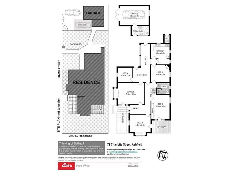 79 Charlotte Street, Ashfield NSW 2131