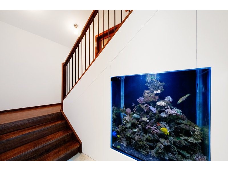 34 Cave Road, Strathfield NSW 2135