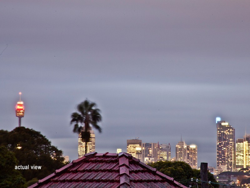 29 Dalhousie Street, Haberfield NSW 2045