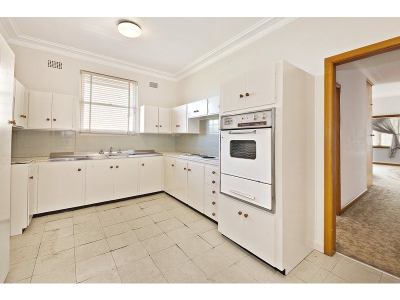6 Hardy Street, Ashfield NSW 2131
