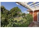 6 Hardy Street, Ashfield NSW 2131