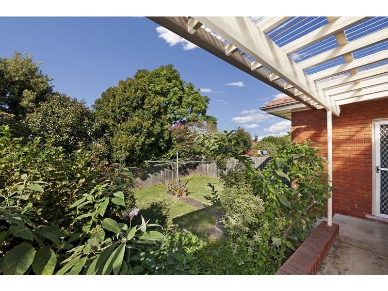 6 Hardy Street, Ashfield NSW 2131
