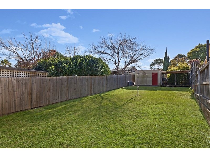 11 Mount Street, Hurlstone Park NSW 2193