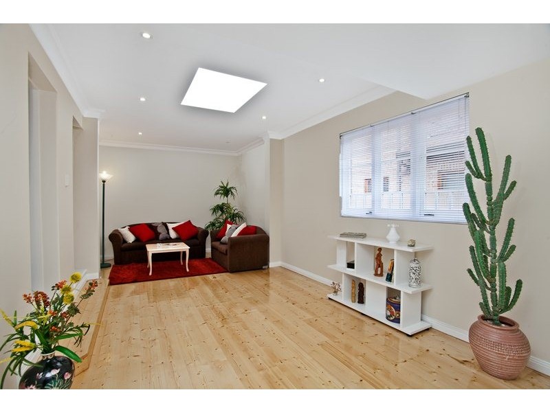 17 Brighton Street, Croydon NSW 2132