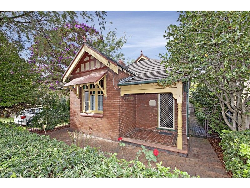 3 Nixon Avenue, Ashfield NSW 2131