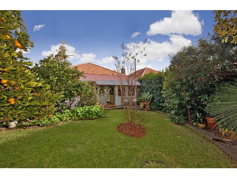 44 Rose Street, Ashfield NSW 2131