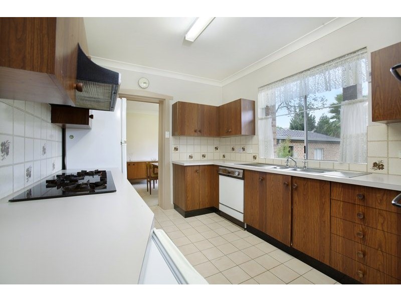 48 Austin Avenue, Croydon NSW 2132