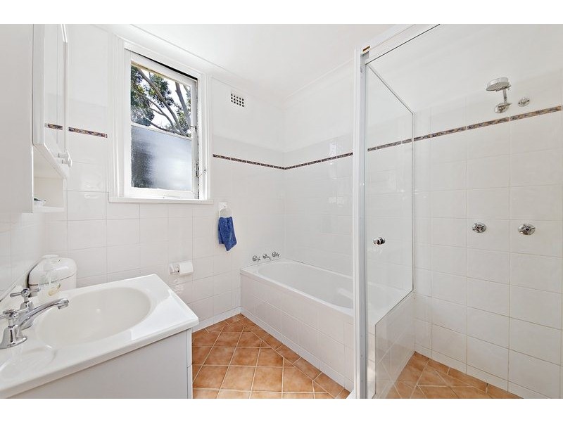 46 Greenhills Street, Croydon NSW 2132