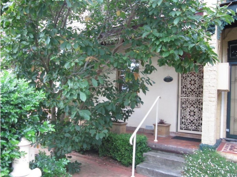 15 Wellington Street, Croydon NSW 2132