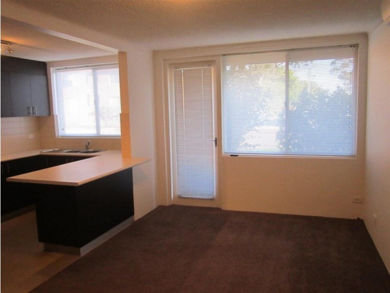 1/2  Mooney St, Strathfield South NSW 2136
