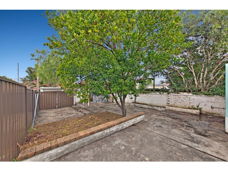 32 Norton Street, Ashfield NSW 2131