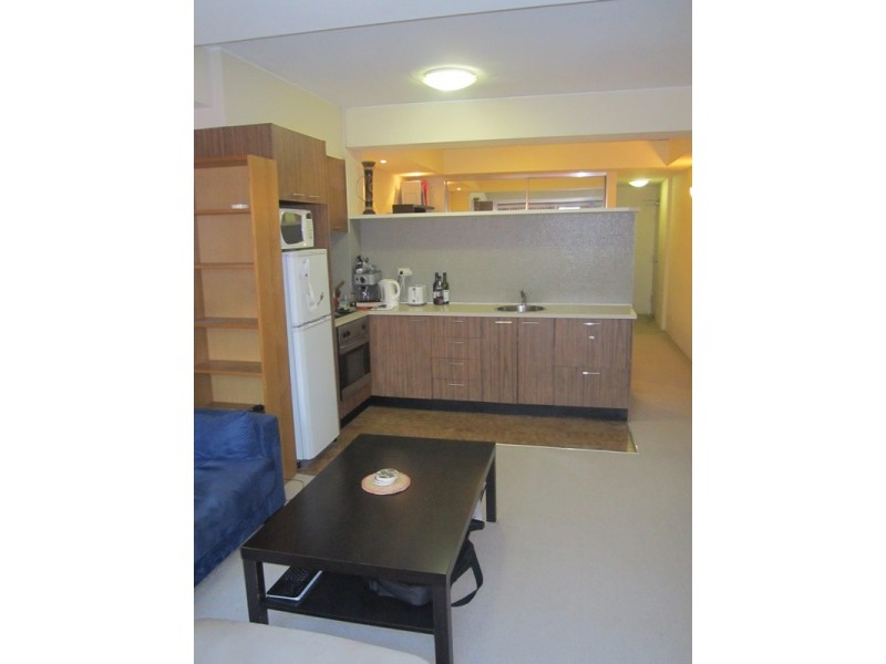 29/27-31 Regent Street, Chippendale NSW 2008