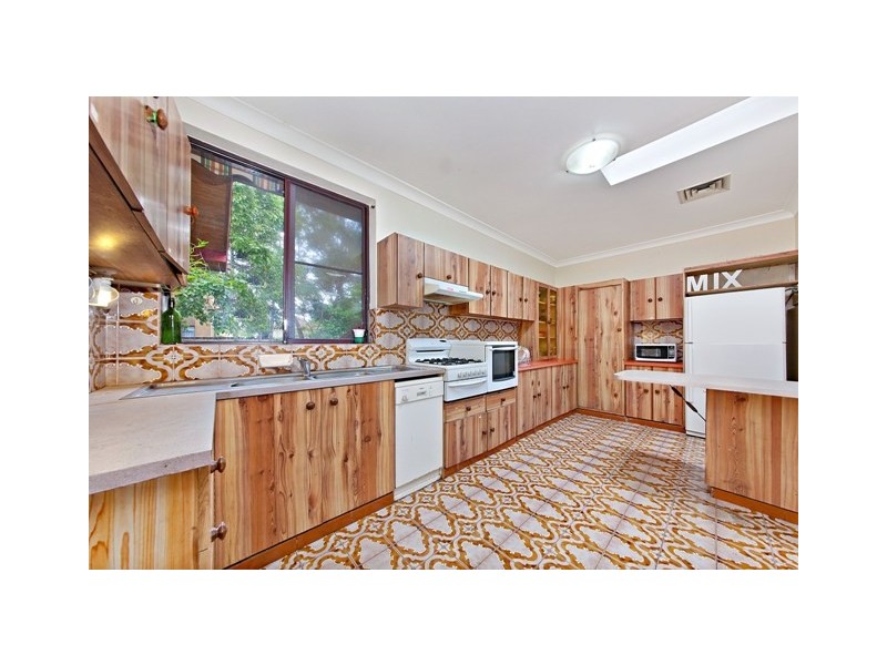 56 Charlotte Street, Ashfield NSW 2131