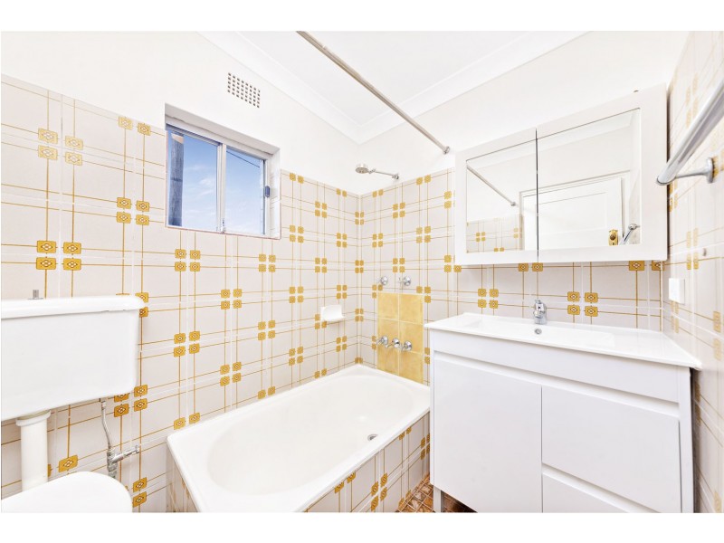 17 Byer Street, Enfield NSW 2136