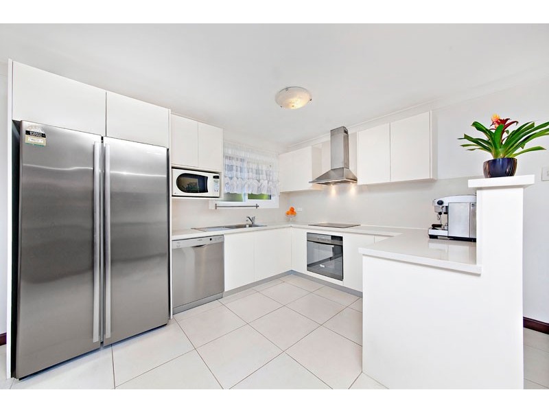 53 Henry Street, Ashfield NSW 2131