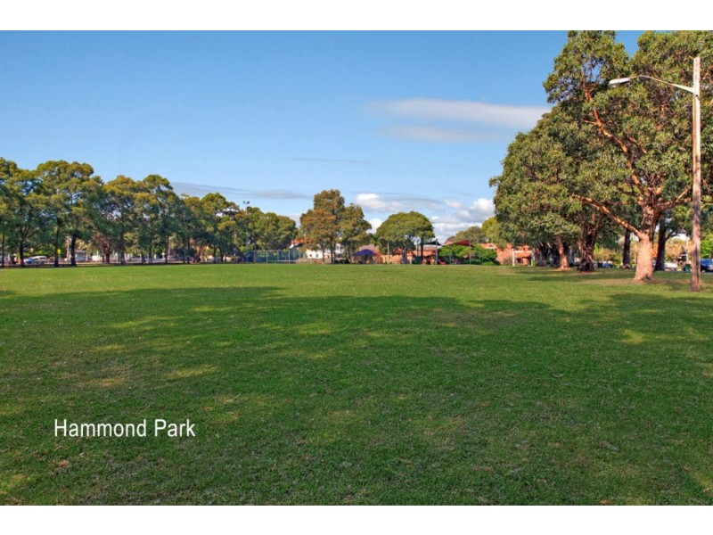 53 Henry Street, Ashfield NSW 2131