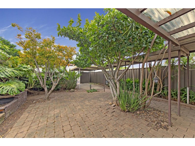 6 Carlisle Street, Ashfield NSW 2131