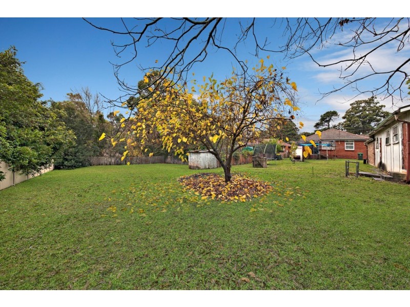 120 Abuklea Road, Eastwood NSW 2122