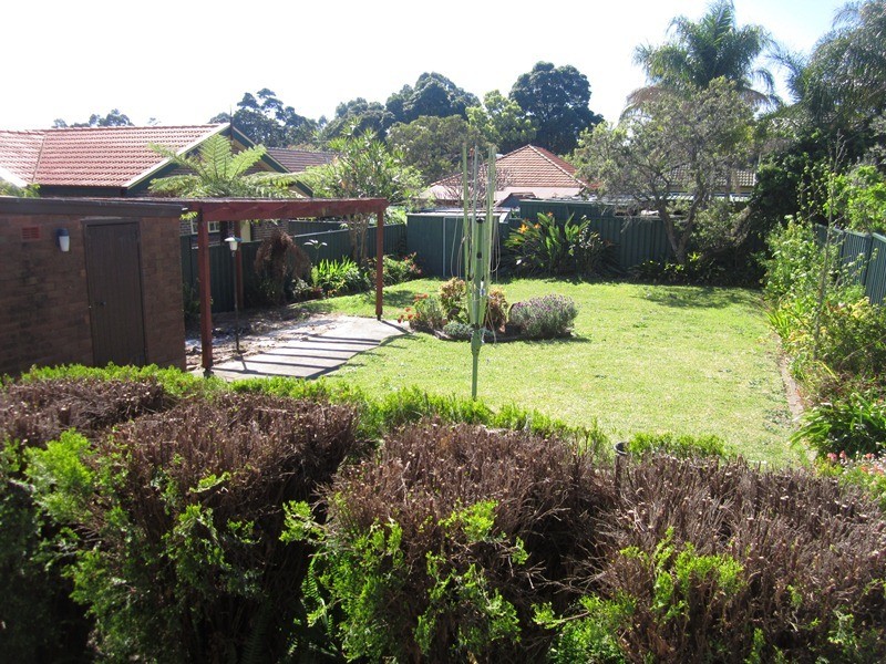 20 Goodlet Street, Ashbury NSW 2193