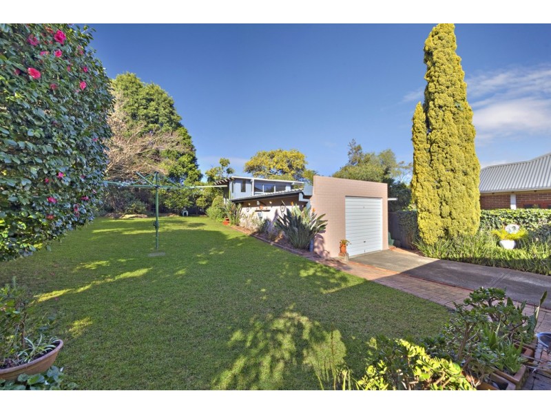 256 Holden Street, Ashbury NSW 2193