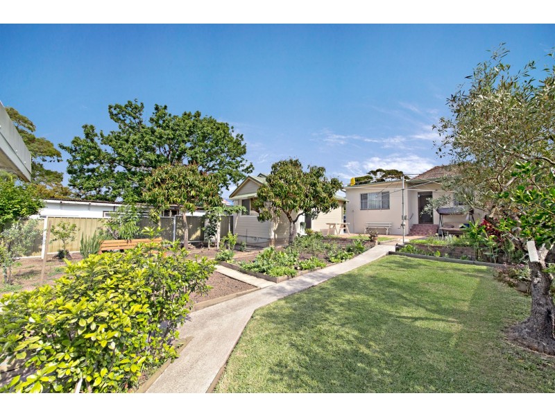 1 Griffiths Street, Ashfield NSW 2131