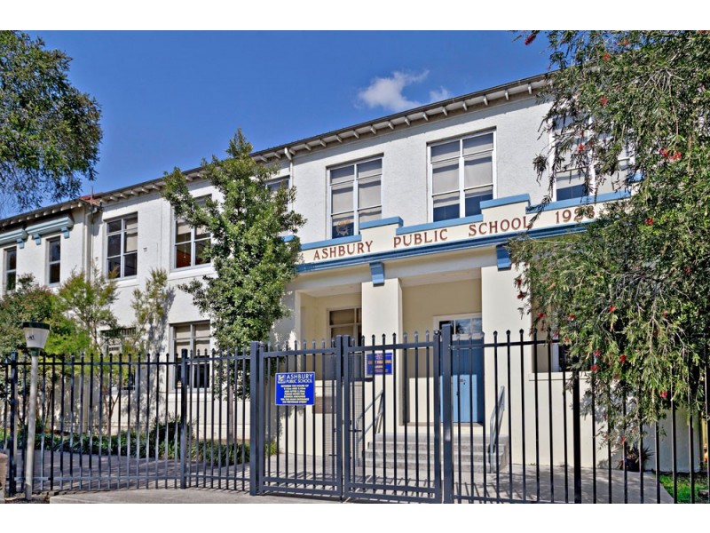 164 Milton Street, Ashbury NSW 2193