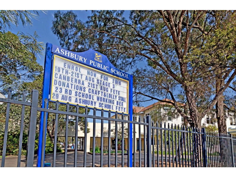 164 Milton Street, Ashbury NSW 2193