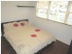 38 Park Avenue, Ashfield NSW 2131