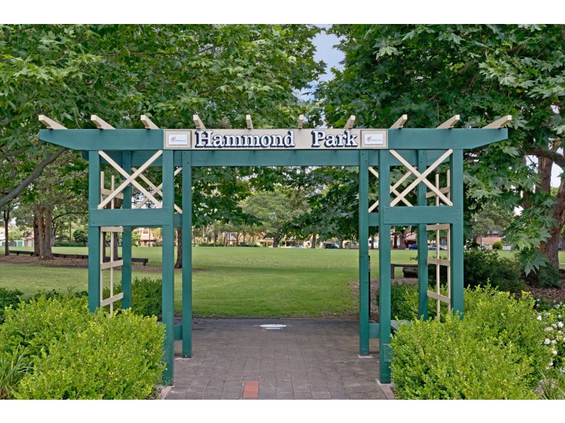 5/155 Frederick Street, Ashfield NSW 2131