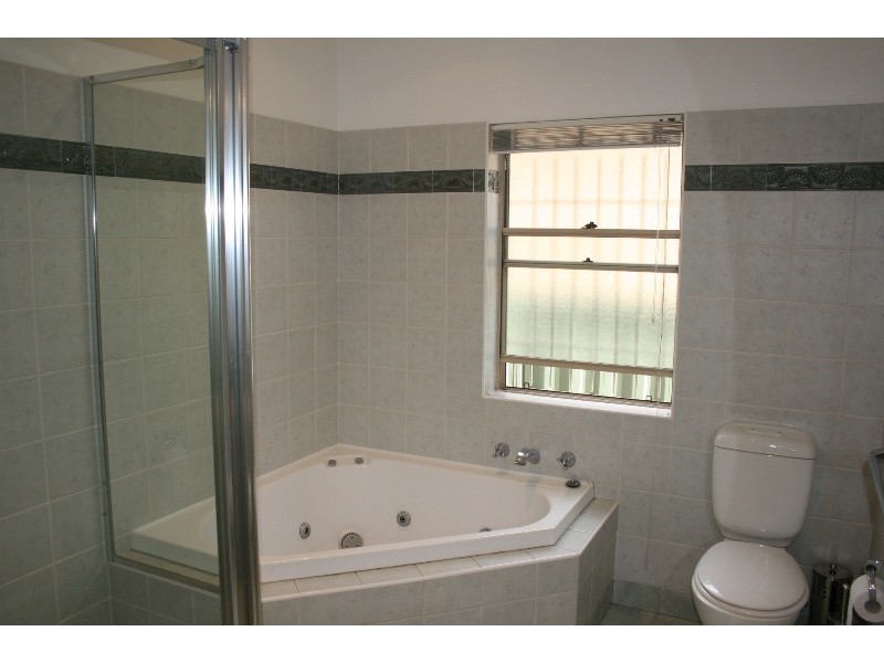 17 James Street, Strathfield South NSW 2136