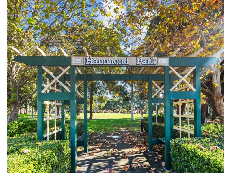 2 Earle Avenue, Ashfield NSW 2131