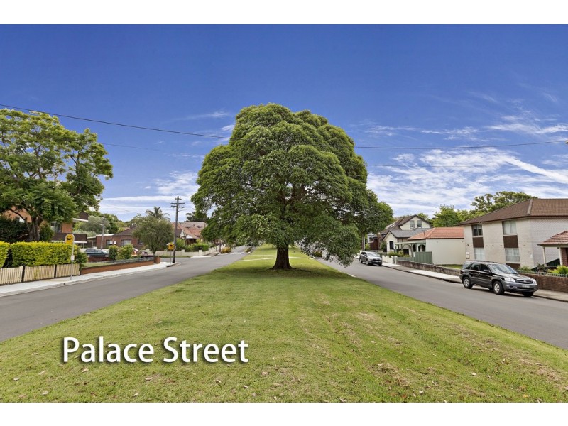 8 Palace Street, Ashfield NSW 2131