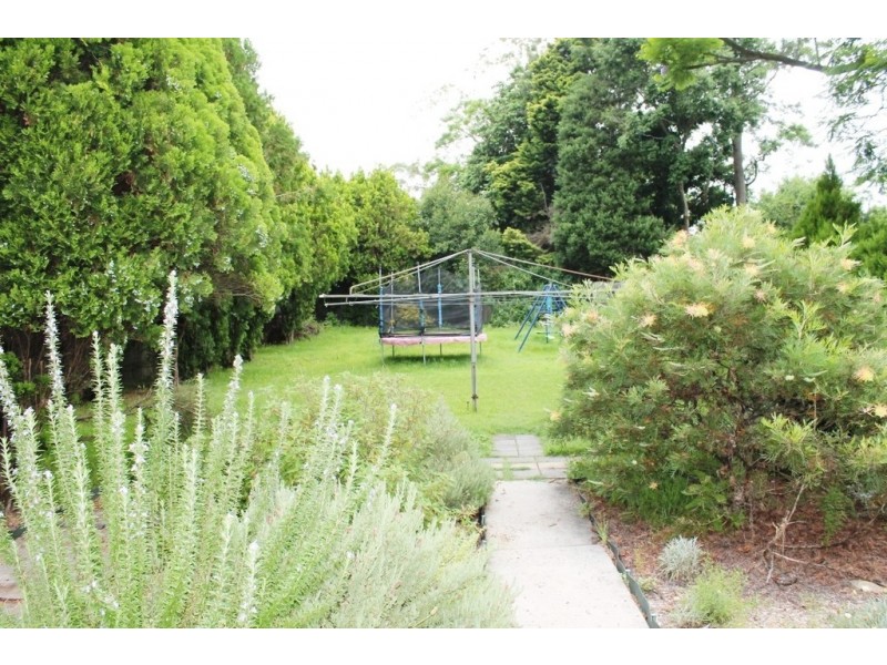 14 Rochester Street, Strathfield NSW 2135