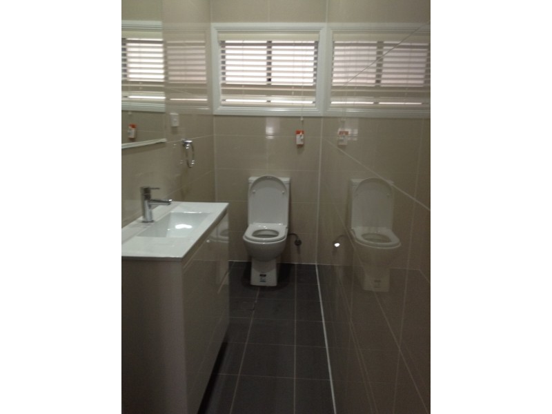 55 Blenheim Street, Croydon Park NSW 2133