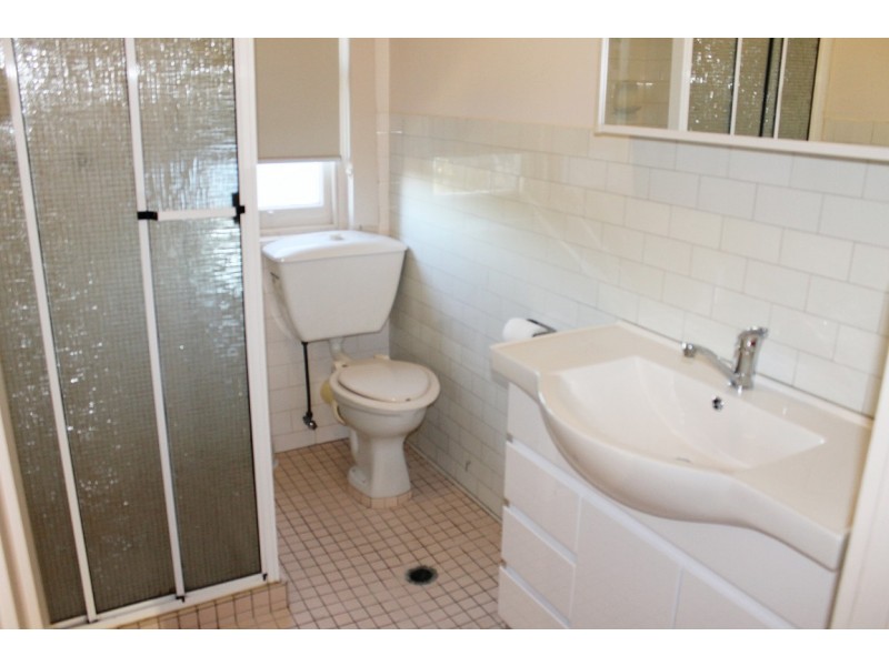 41A King Street, Ashbury NSW 2193