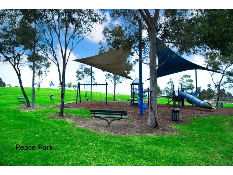 41A King Street, Ashbury NSW 2193