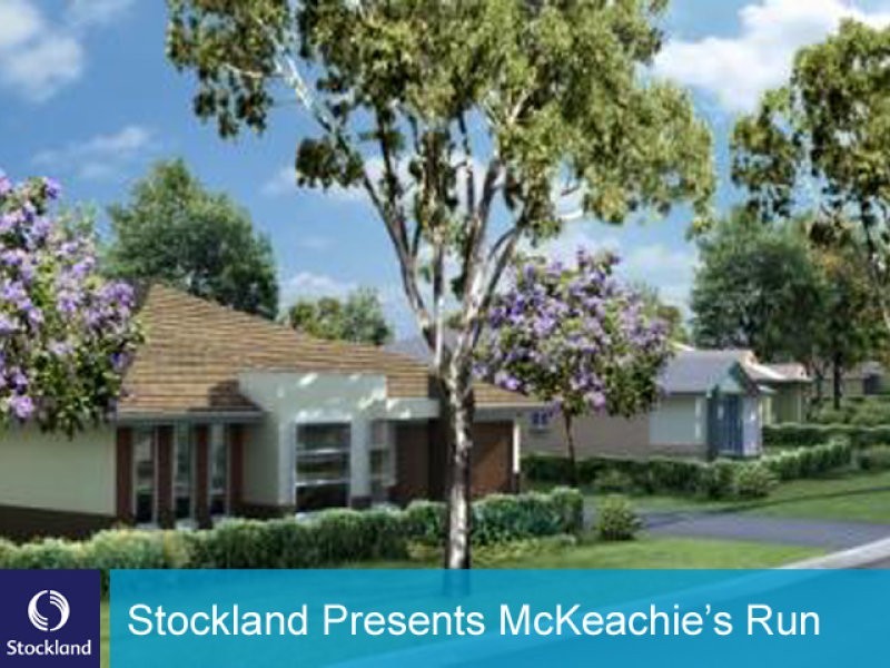 OLEARIA RELEASE NOW SELLING, Aberglasslyn NSW 2320