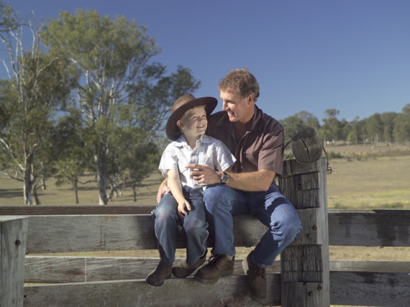 OLEARIA RELEASE NOW SELLING, Aberglasslyn NSW 2320