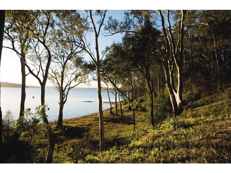 Lot 105 Greygum Trail, Murrays Beach NSW 2281