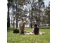 Lot 105 Greygum Trail, Murrays Beach NSW 2281