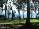 121 Greygum Trail, Murrays Beach NSW 2281