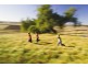 Gillieston Heights NSW 2321