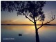 163 Lake Forest Drive, Murrays Beach NSW 2281