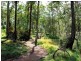 * Forest Owl Crescent, Murrays Beach NSW 2281