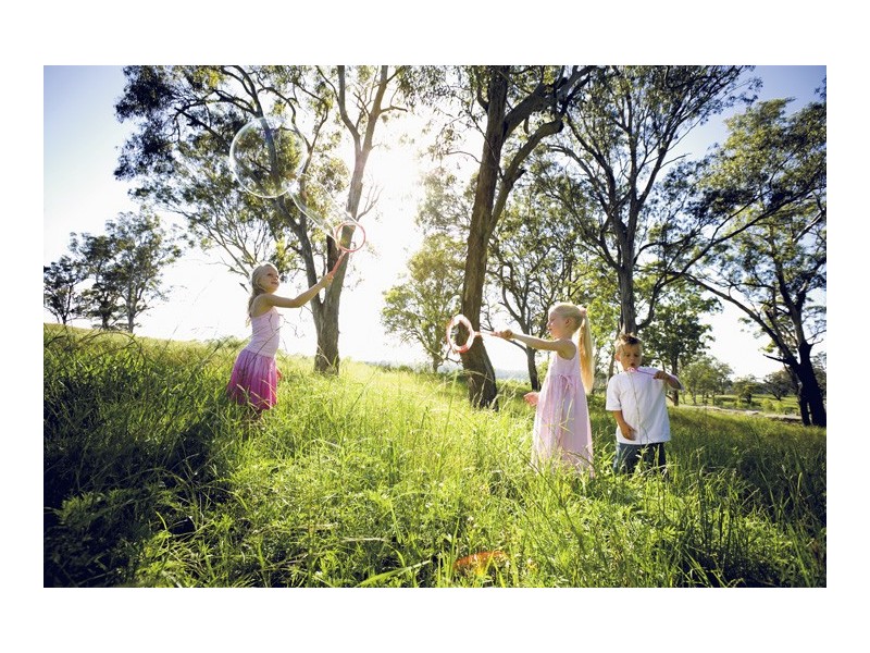 Aberglasslyn NSW 2320